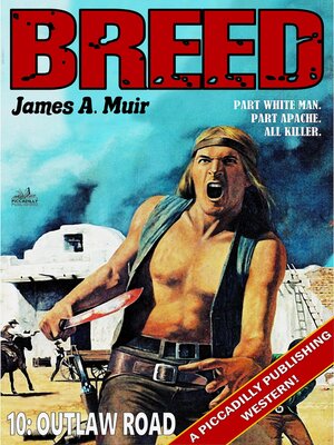 cover image of Outlaw Road (A Breed Western #10)